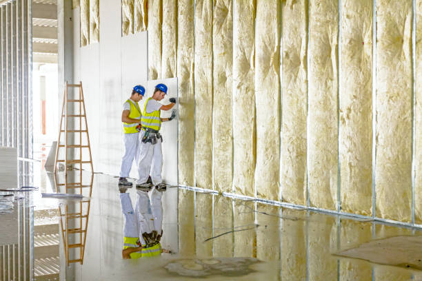 Best Energy-efficient Insulation  in Jesup, IA